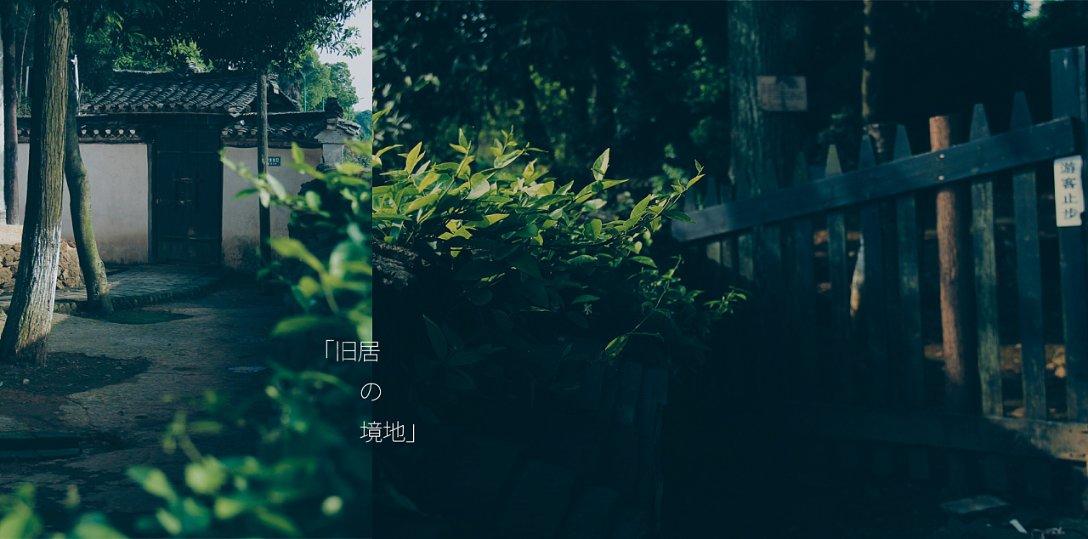 纪念币预约怎么操作-全新问答类网站,快速获取解答